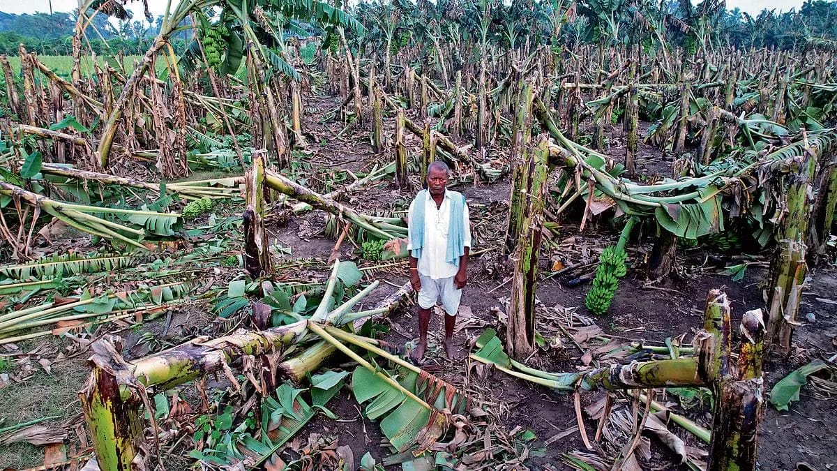 Cyclone Arnab: Chandrababu Naidu Government Announces Financial Assistance for Affected Families and Farmers in Andhra Pradesh Cyclone Arnab: Chandrababu Naidu Government Announces Financial Assistance for Affected Families and Farmers in Andhra Pradesh